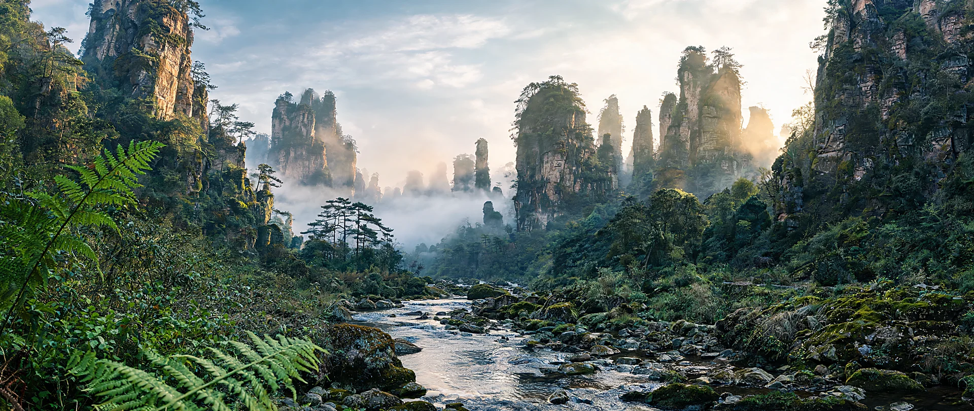 Zhangjiajie’s Misty Dawn Pillars