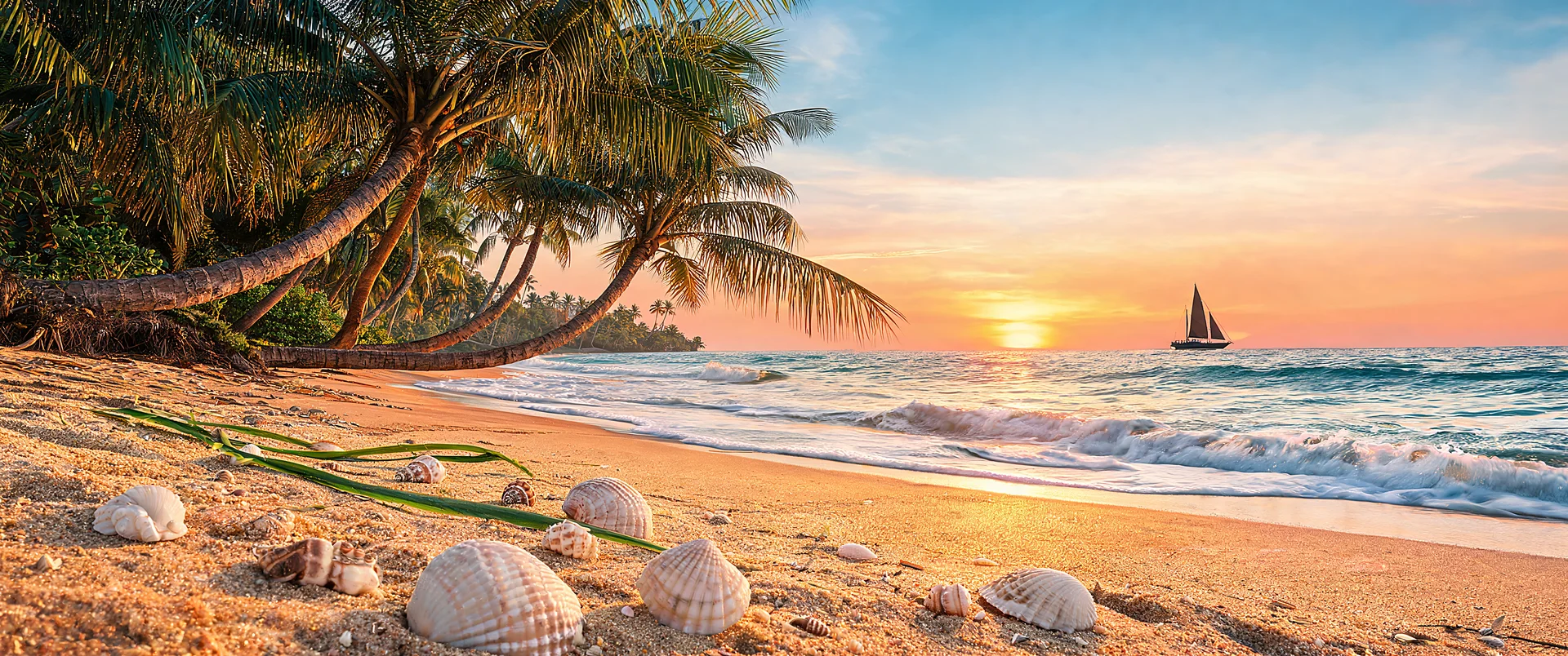 Palm Coast Sunset Radiance