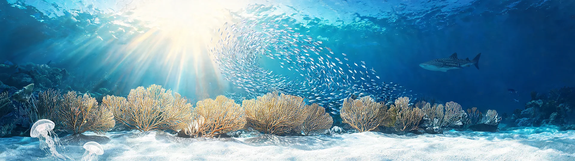 Golden Rays Over Coral Reef