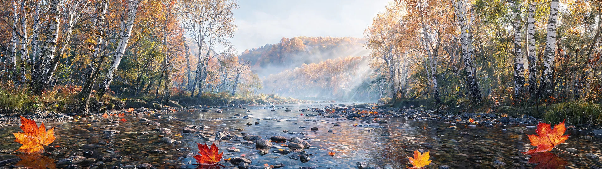 Golden Stream Through Birch Forest 5120x1440 Monitor Wallpaper