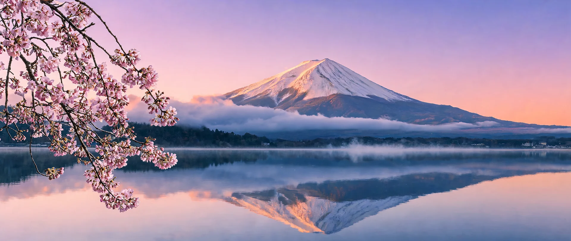 Mount Fuji Dawn Sakura Reflection 5120x2160p Wallpaper
