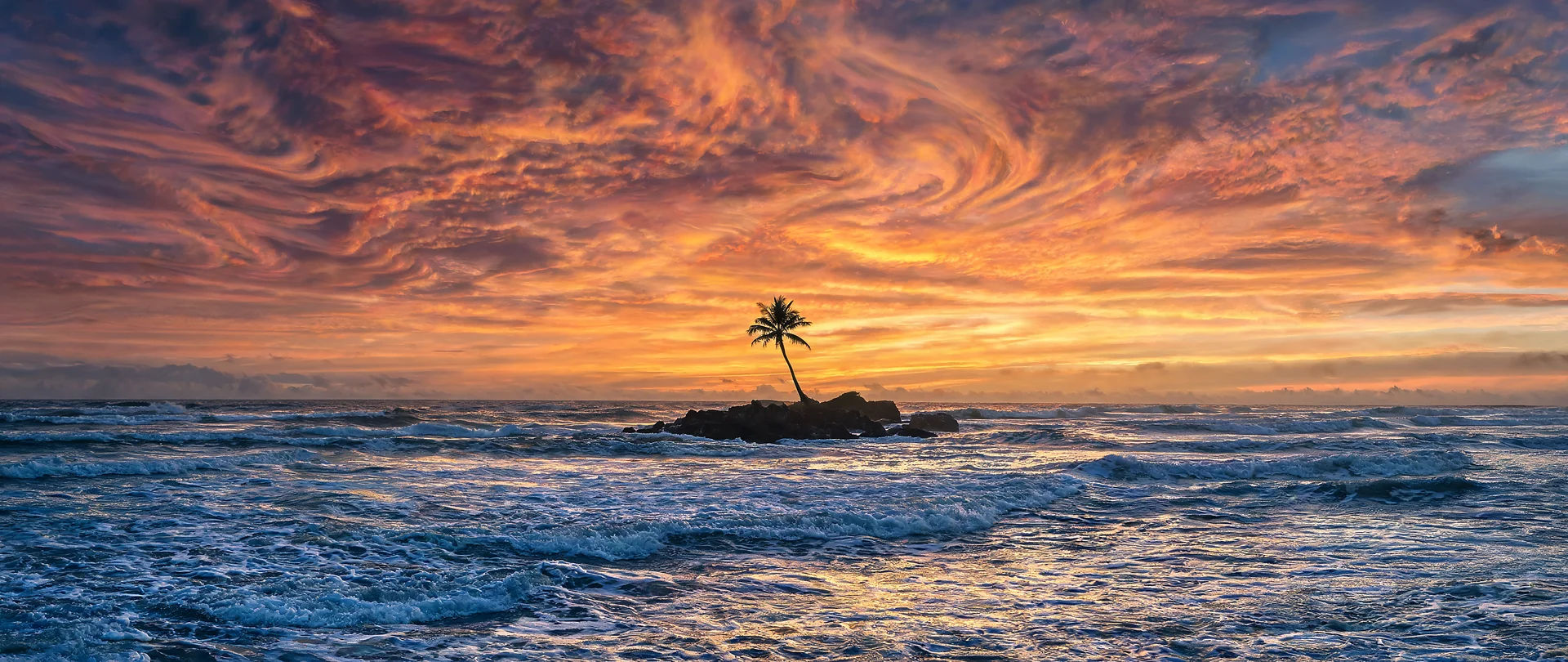 Sunset Ocean Palm Silhouette