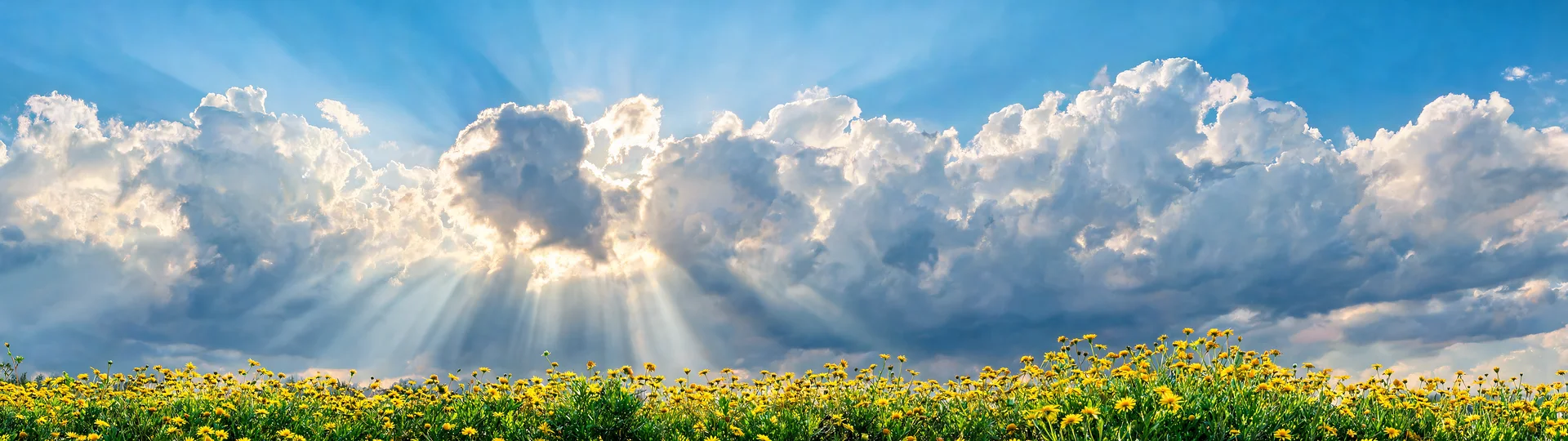 Sunlit Cumulus Cloud Sea Ascent 57
