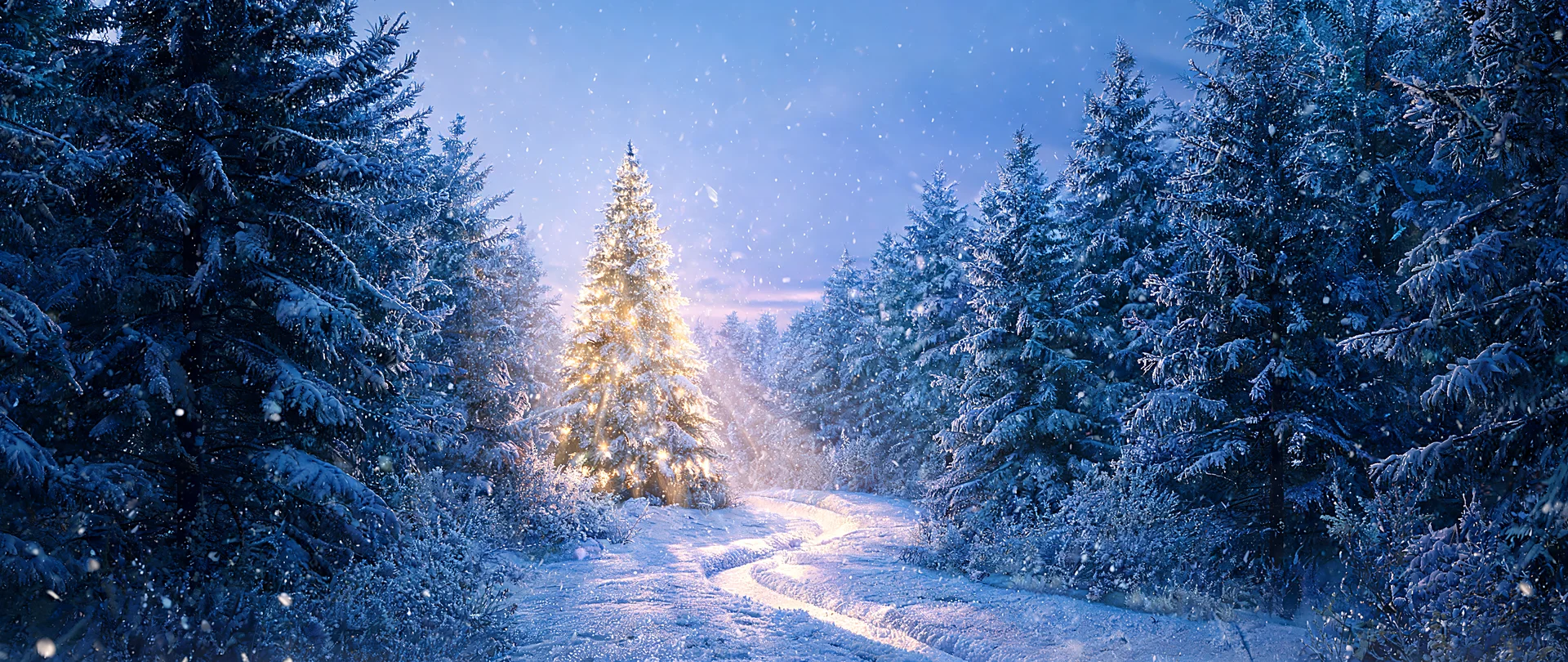 Solitude Glowing Tree Still 2560x1080 Wallpaper