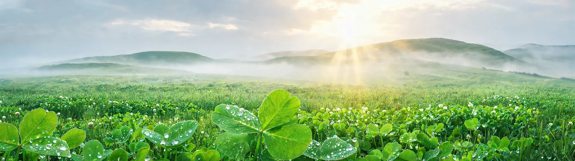Emerald St Patricks Morning 32:9 Super Widescreen Wallpaper