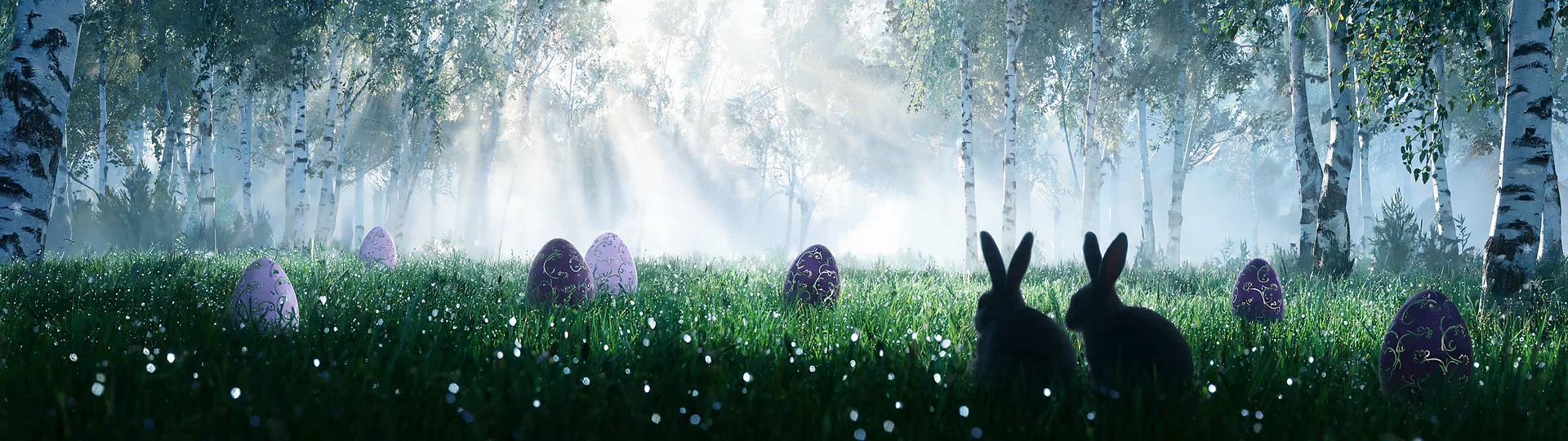 Sweet Spring Egg Morning 5120x1440p Wallpaper