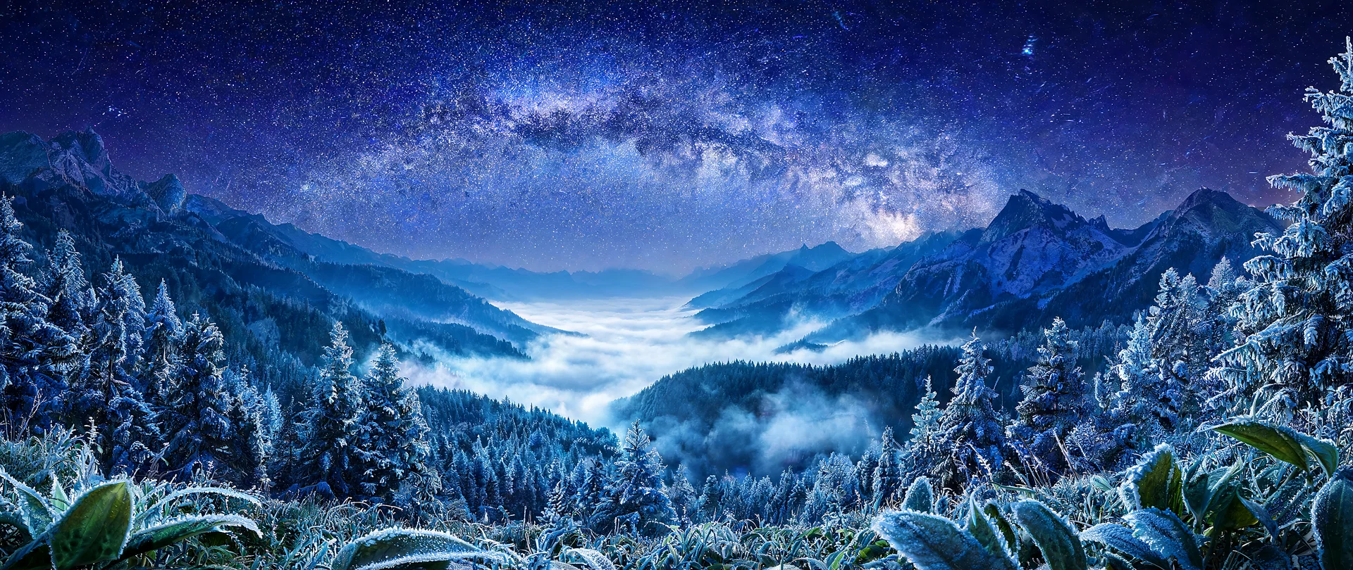 Moonlit Frost over Tropical Highlands