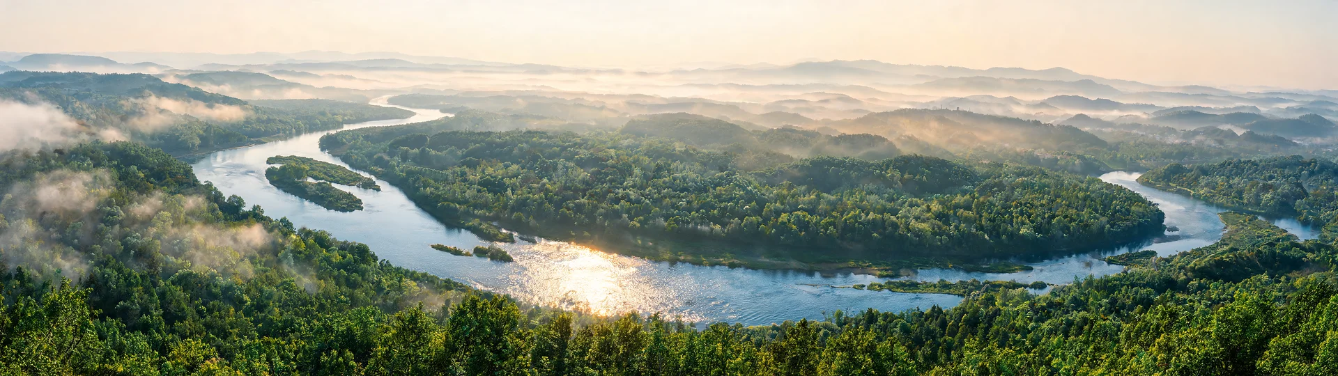 River Bends Through Misty Forest