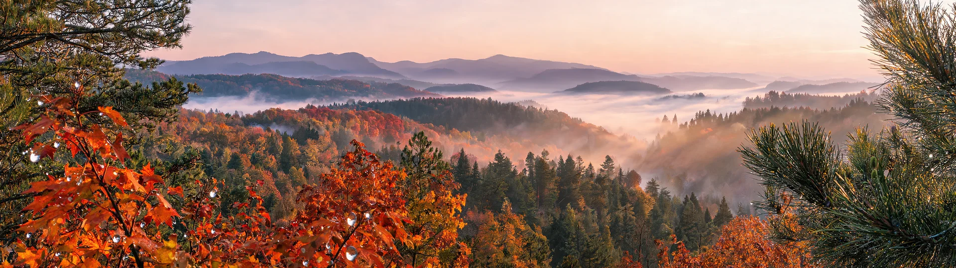 Golden Light on Autumn Peaks