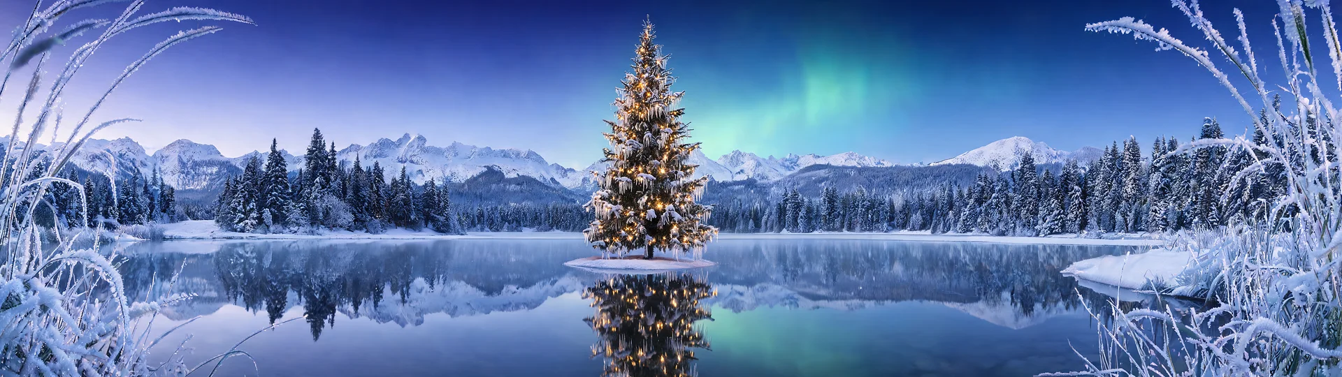 Mirrored Tree Aesthetic Christmas Wallpaper