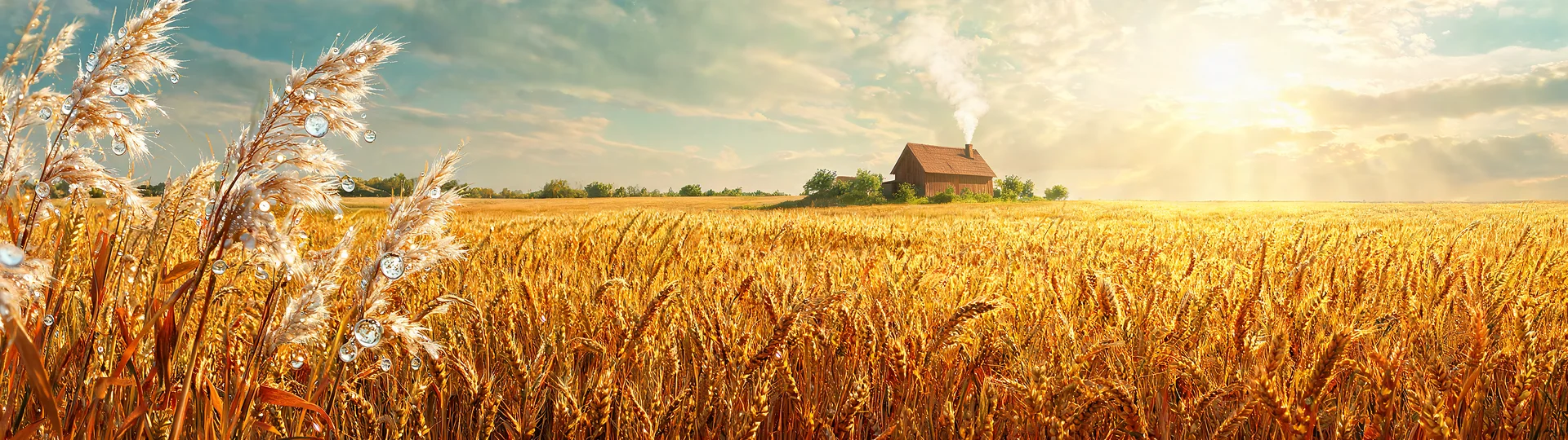 Golden Harvest Thanksgiving Glow 7680x2160p Wallpaper